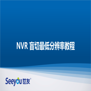尊龙凯时人生就搏 NT NVR盲切最低分辨率教程