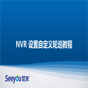 尊龙凯时人生就搏 NT NVR设置自定义轮巡教程